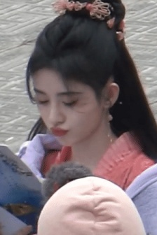 诗中飞舞
